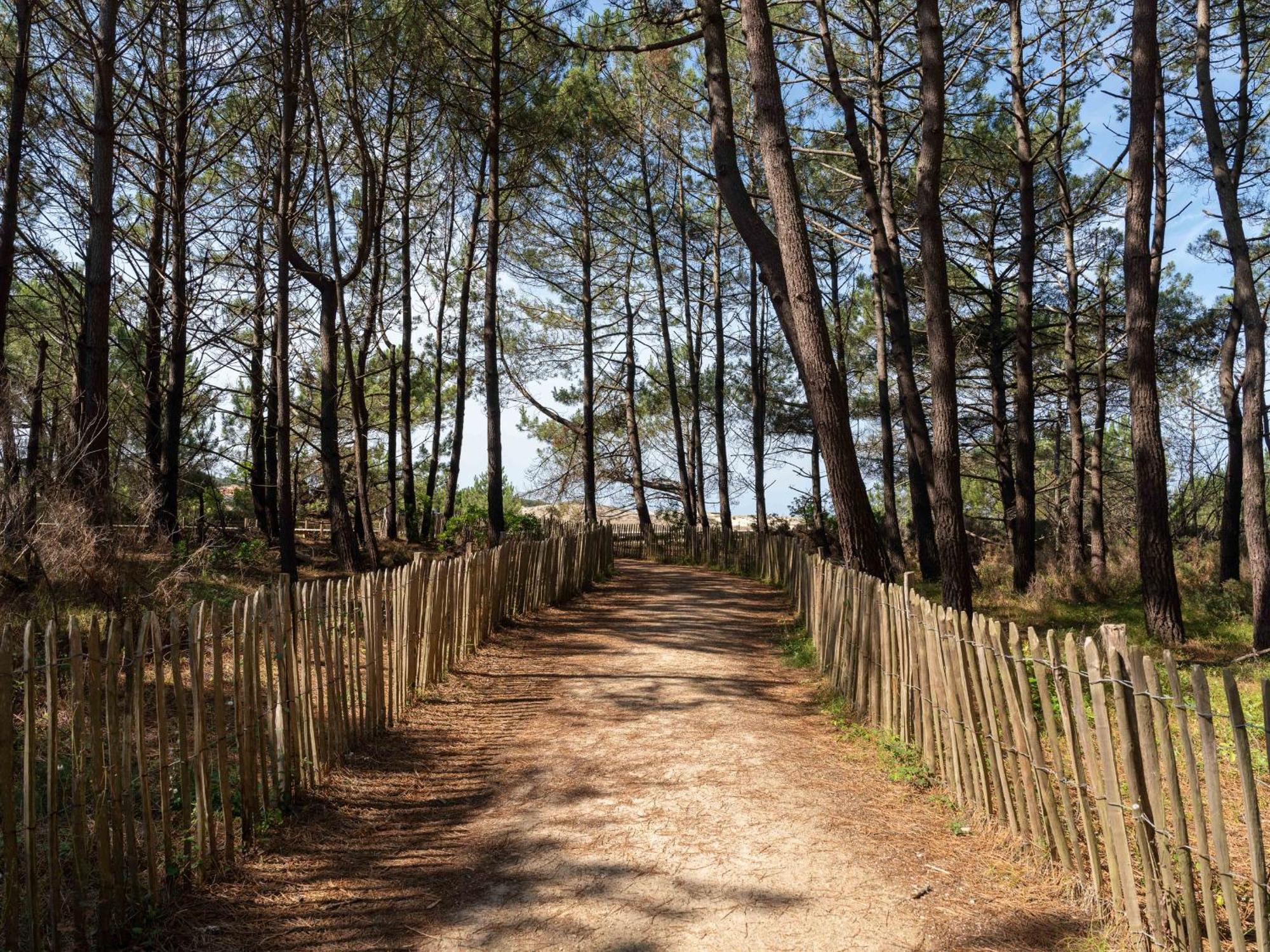 Biscarrosse Plage - Studio T1 Bis En Bord De Mer - Menage Inclus - Fr-1-319-185 Exterior foto